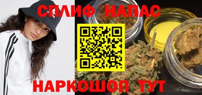 крисы Будённовск