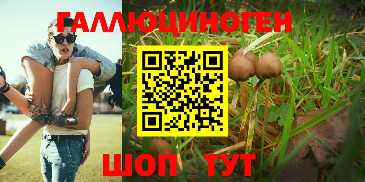 Галлюциногенные грибы мухоморы Россошь